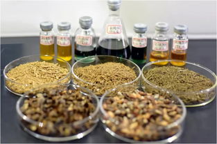 鄭州大學賈陸教授團隊突破創(chuàng)新 金絲楠木提取物研發(fā)獲國家專利，植物提取技術再攀高峰